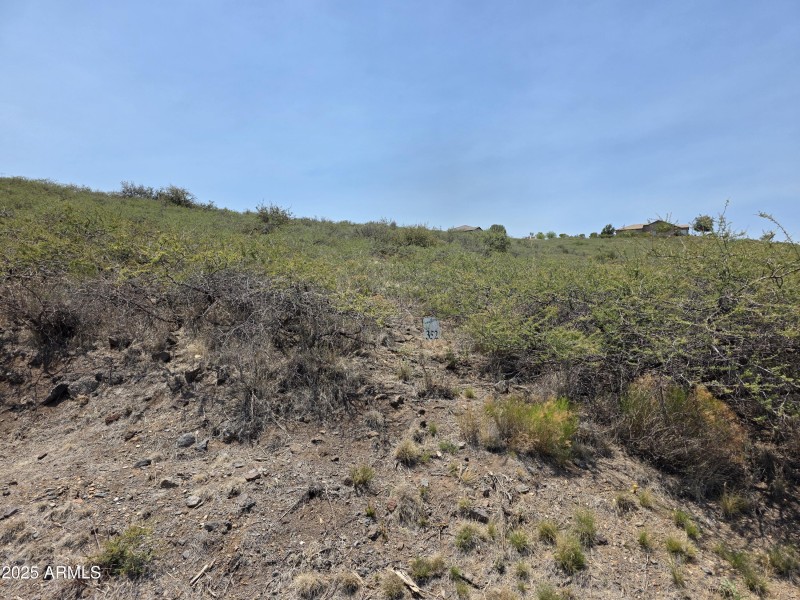 Lot 352 Main