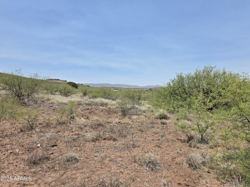 Lot 350 Main