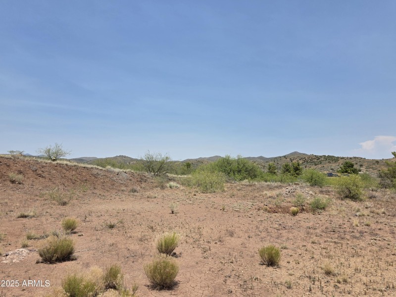 back area of lot