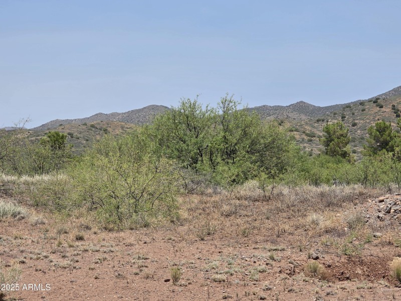 Lot 350