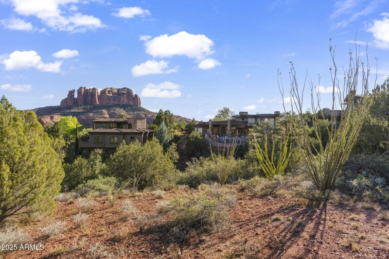 Natural High Desert Plants on Parcel