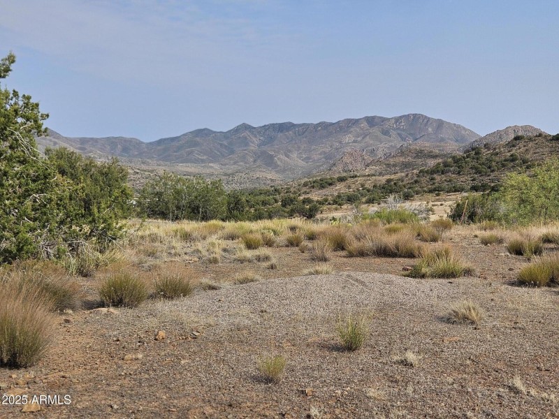 Lot_center_south