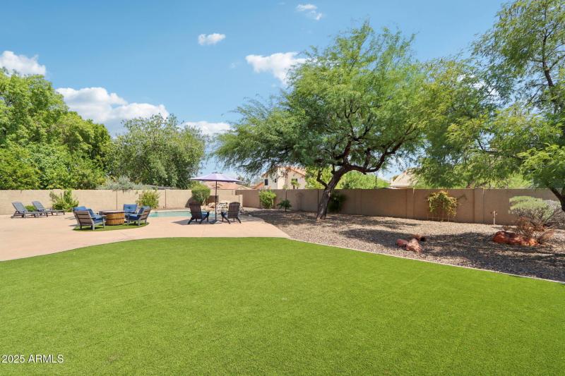 Turf Backyard