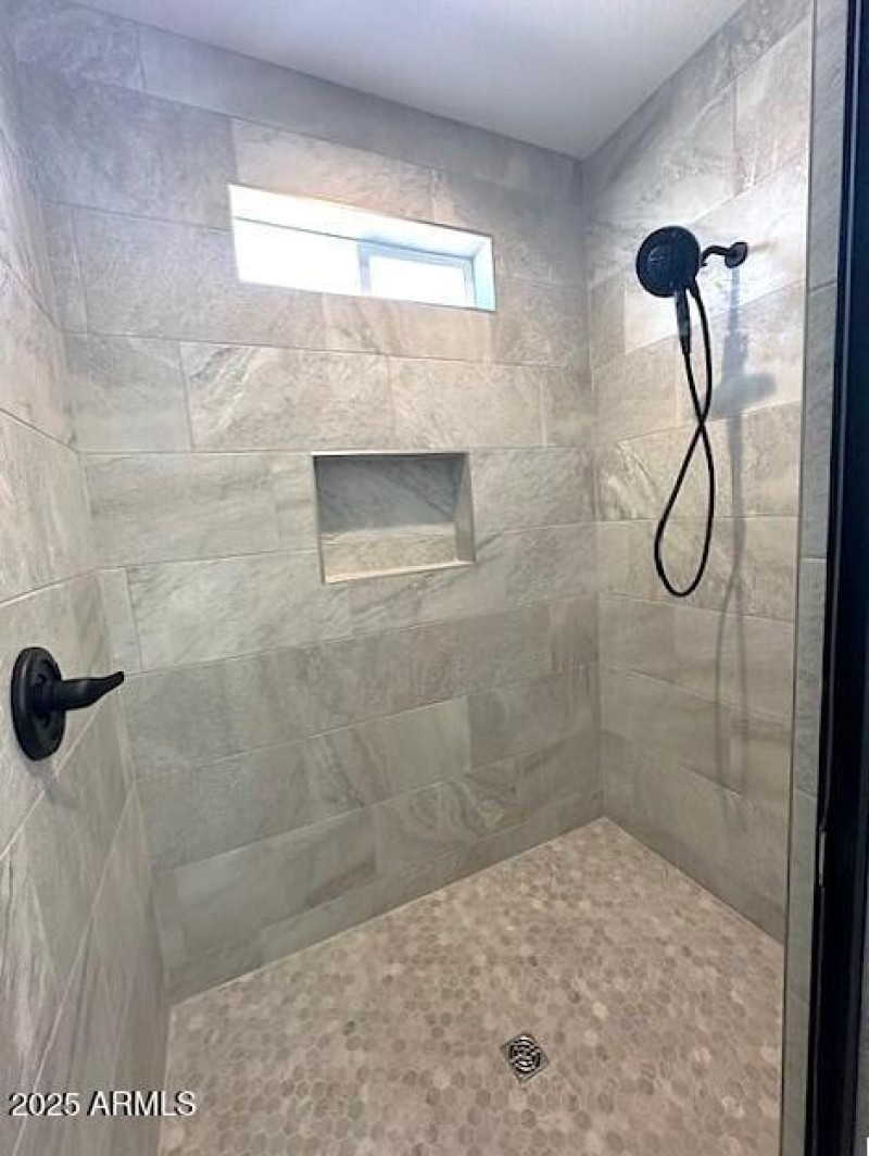 Primary Bath Walk-in Shower