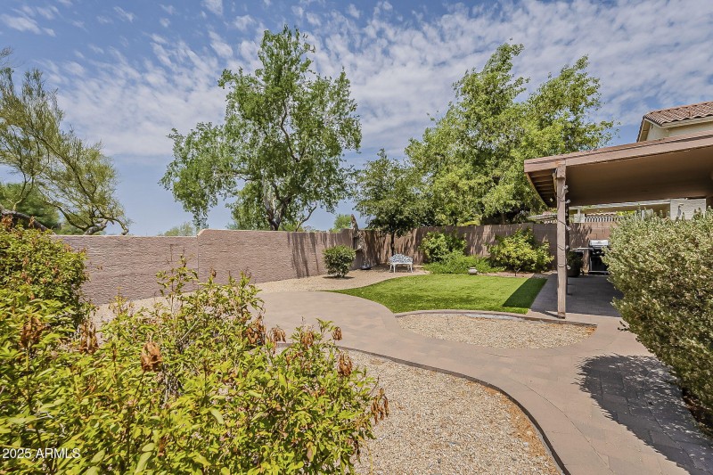 Backyard