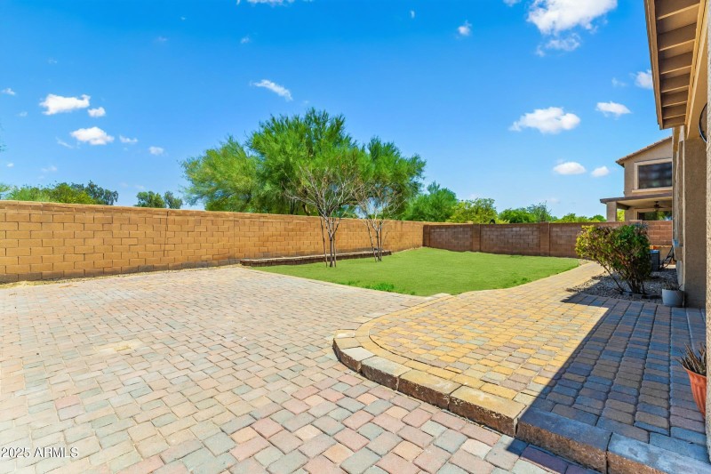 backyard grass