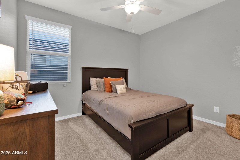 24-web-or-mls-368A6982