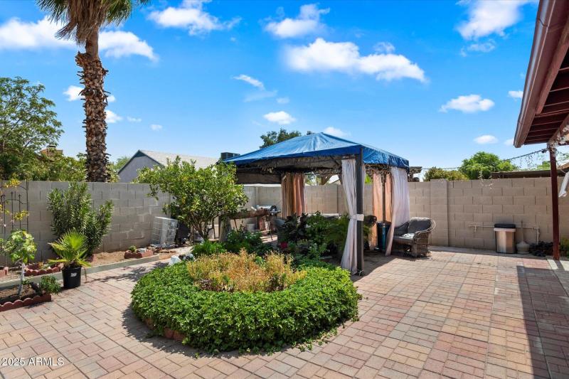 Backyard 3 - 143 W. Michelle Dr