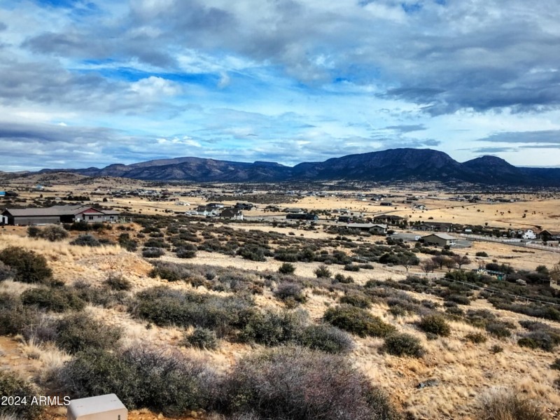 NE View