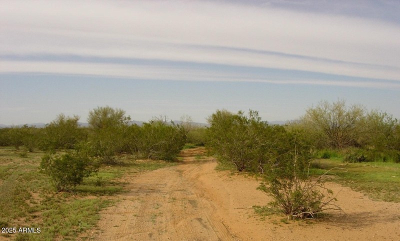 65247 HIGHWAY 60
