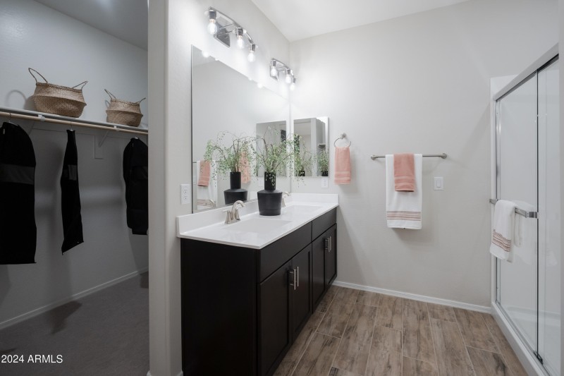Owner's Bath