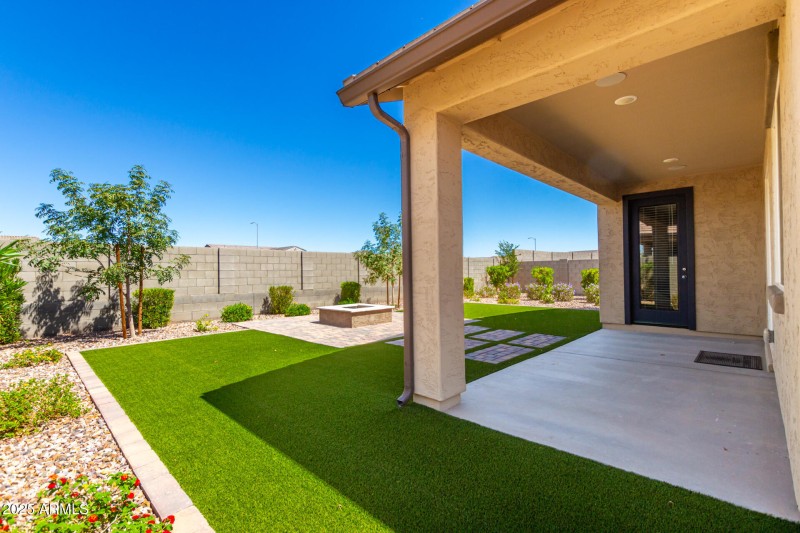 Back Yard