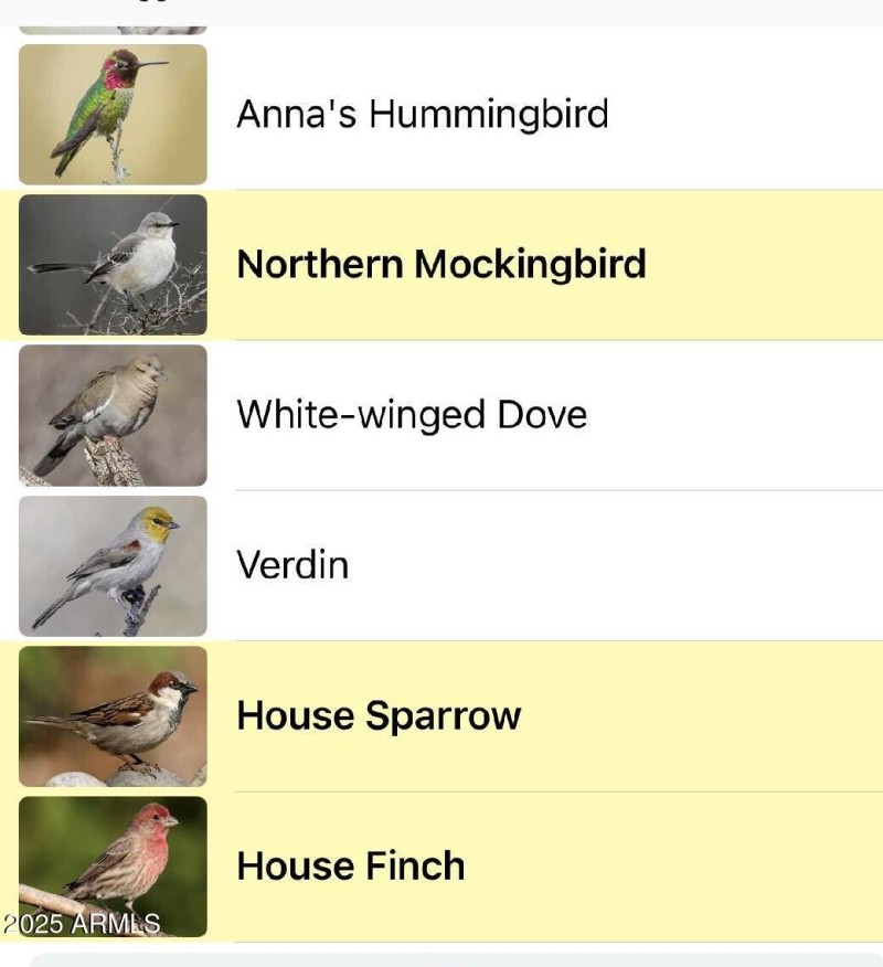 Bird Species in Community