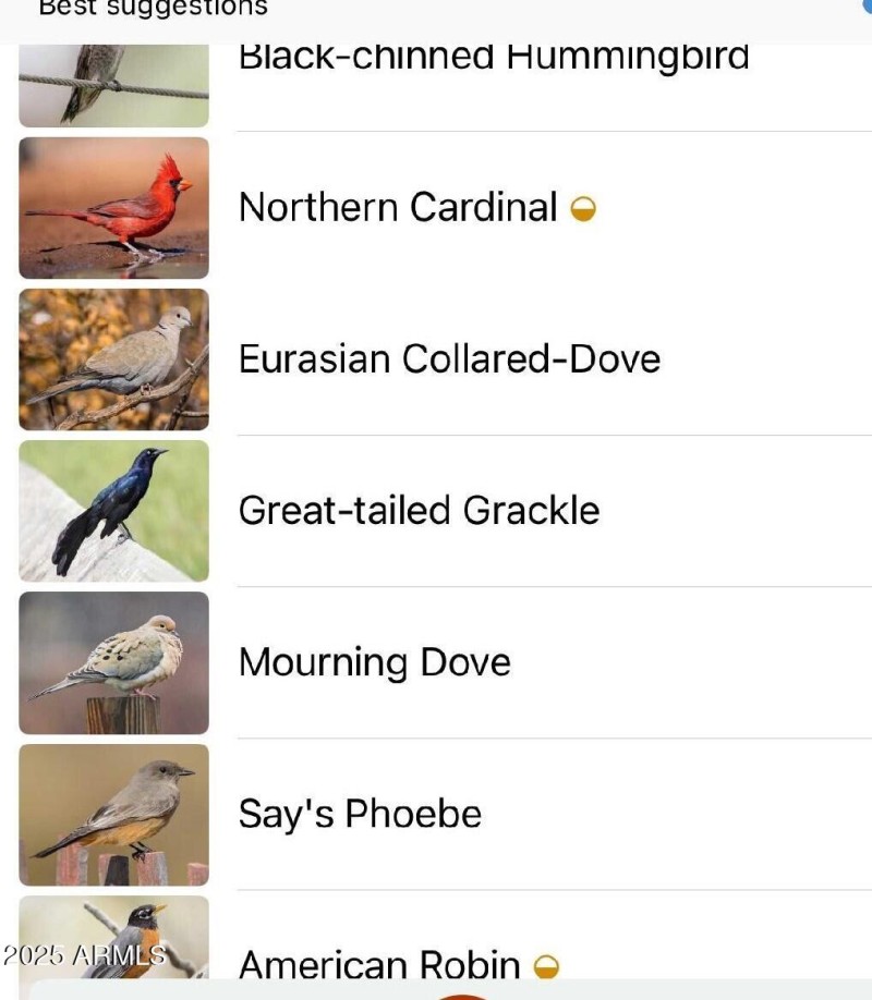Bird Species in Community