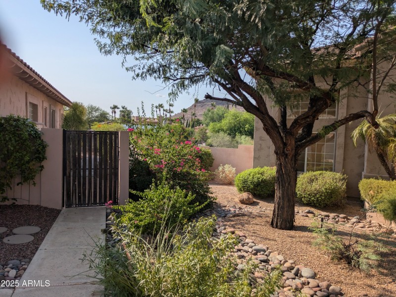 Side Yard Gate