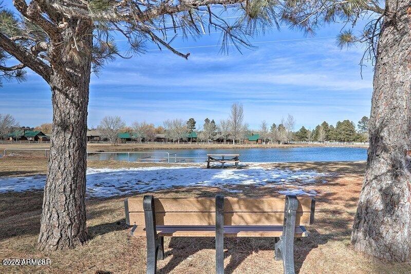 Bison Ranch Water Feature
