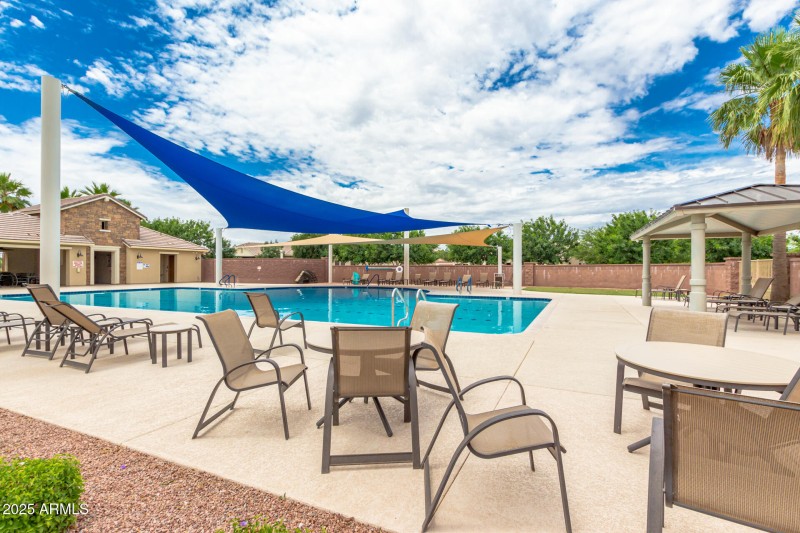 Dragon Tree Pool Pic