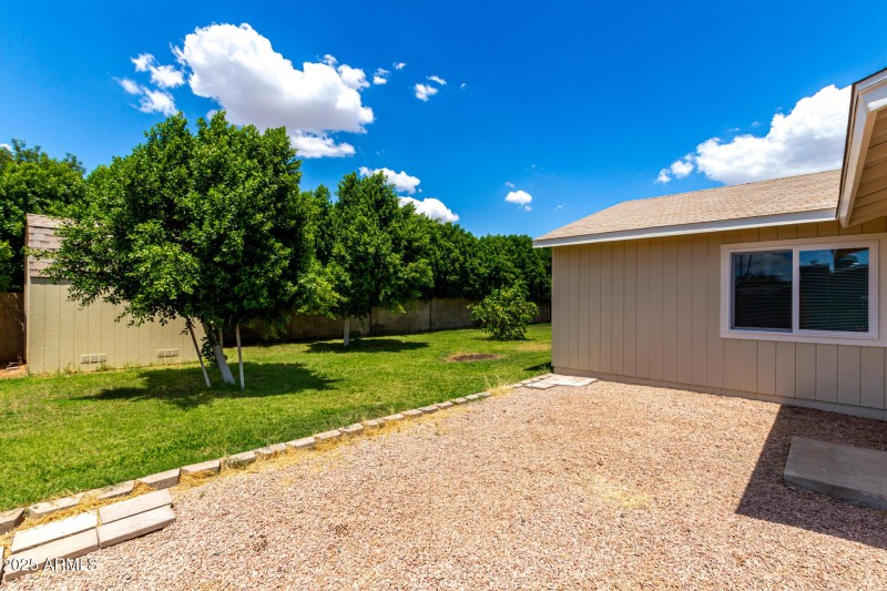 Backyard