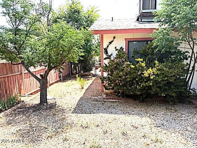 Backyard 2