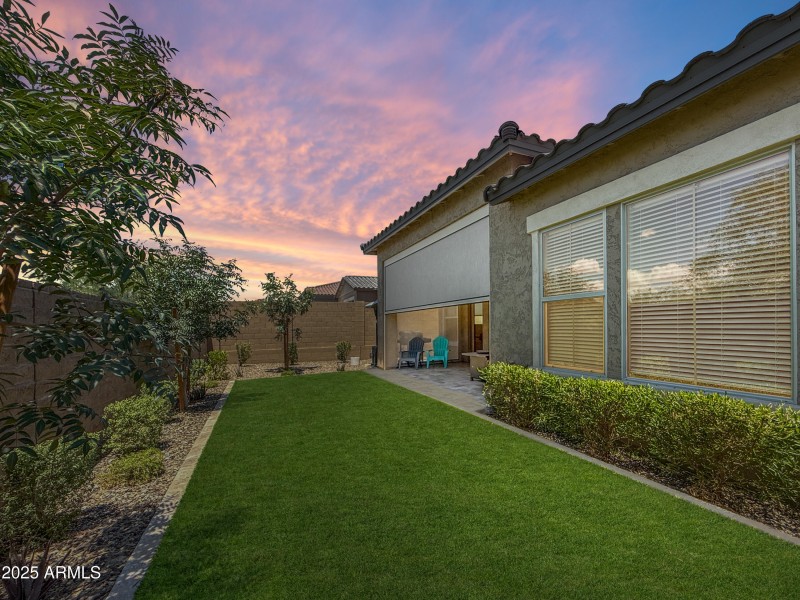 Backyard Artificial Grass