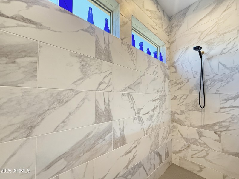 Primary Bathroom Shower