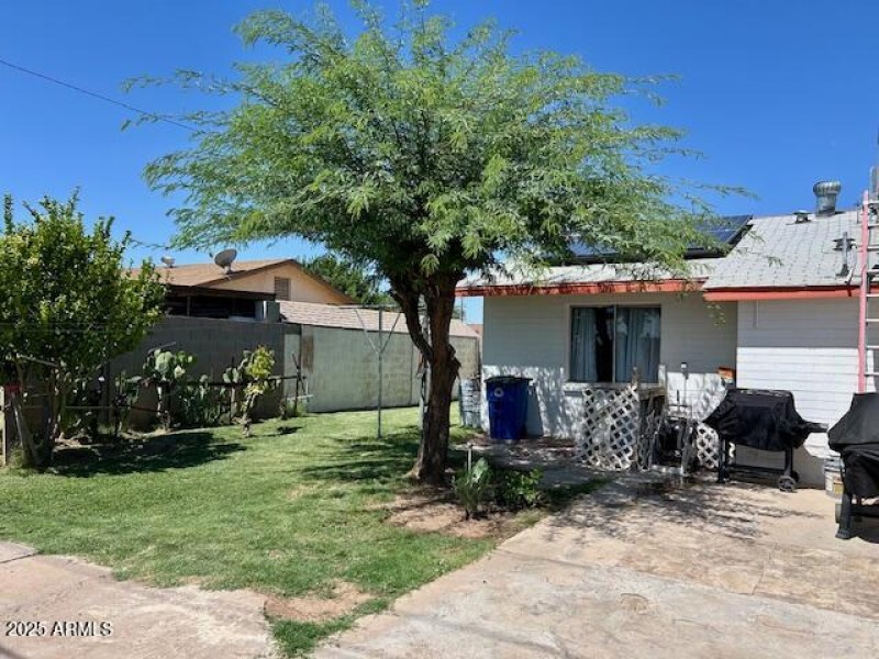 Backyard