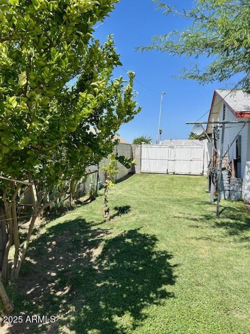 South sideyard