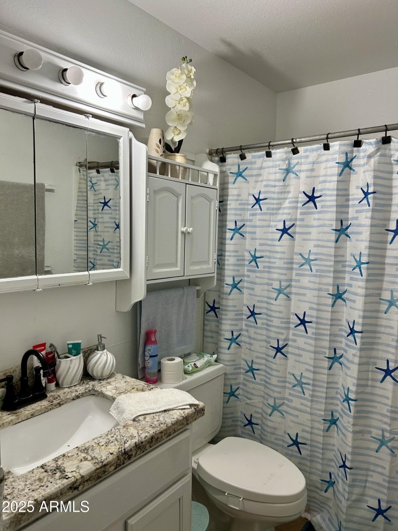Hall Bathroom