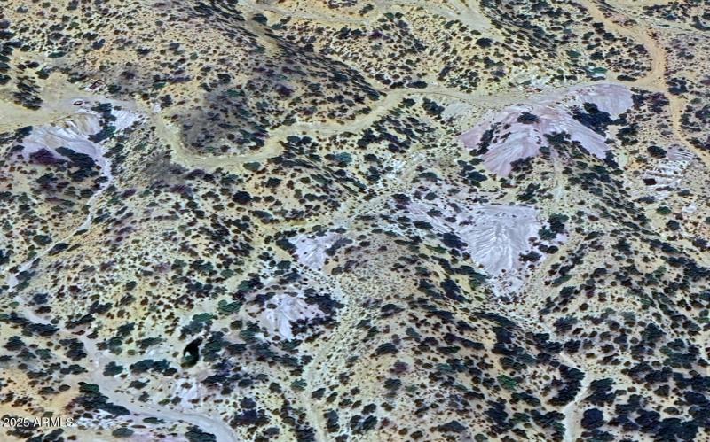 just_taking_photos_snapshot_07-16-2025_1