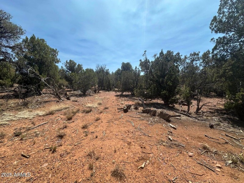 Land4