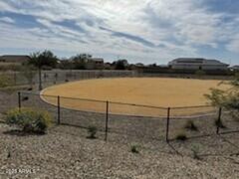 Picture4 dog park