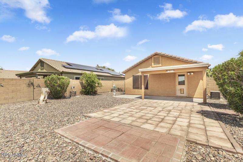11 Backyard