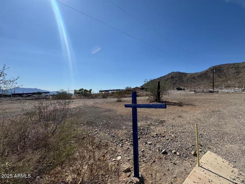 laveen 1