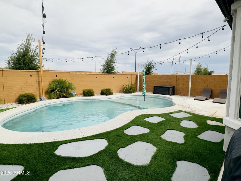 Backyard 1