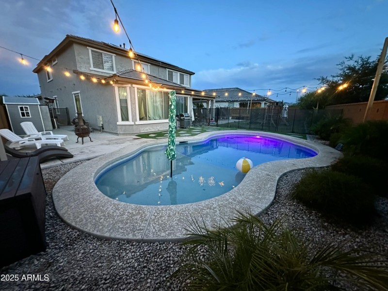 Backyard 3
