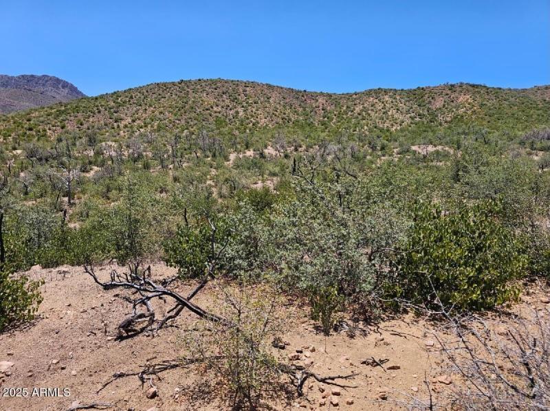 HIll to the South