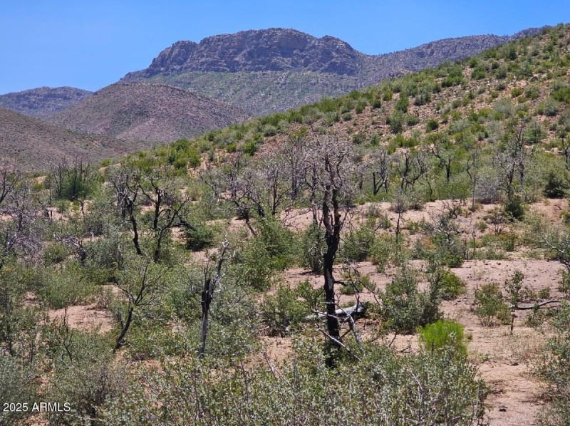 View of El Capitan