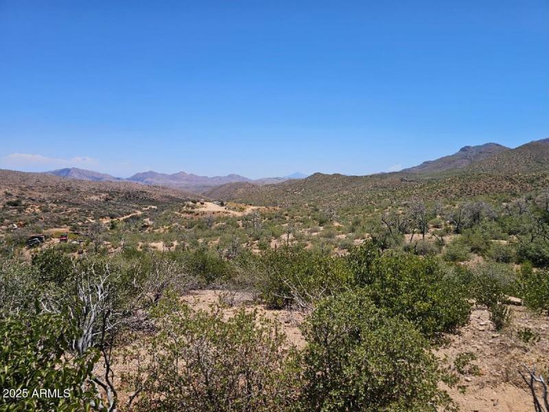 View of Mt Turnbull