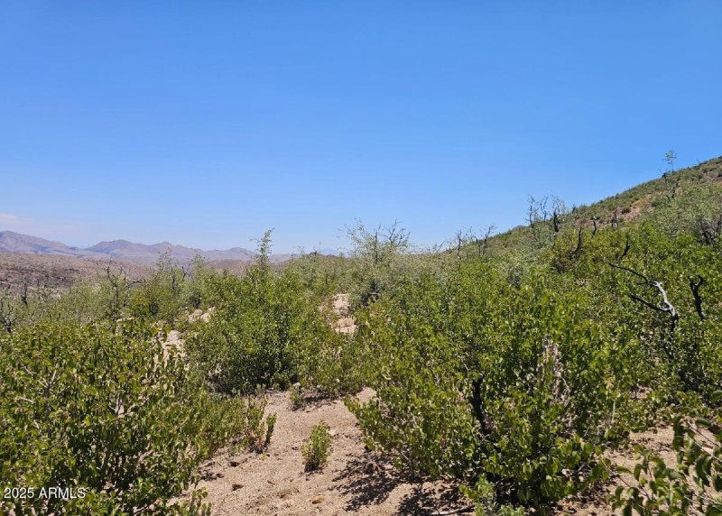 View to the NE