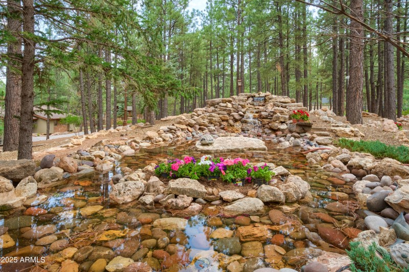 Water Feature