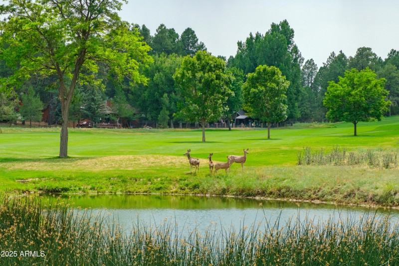 Golf Course