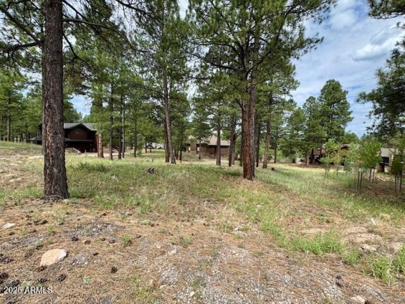 1892 lot view
