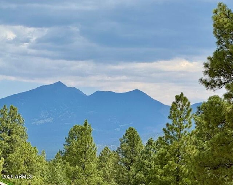 Pine Canyon views