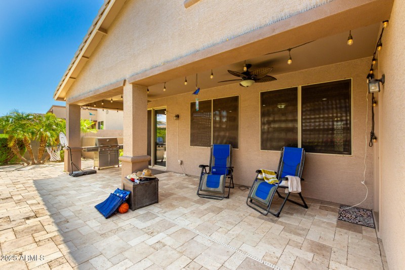 39 Backyard