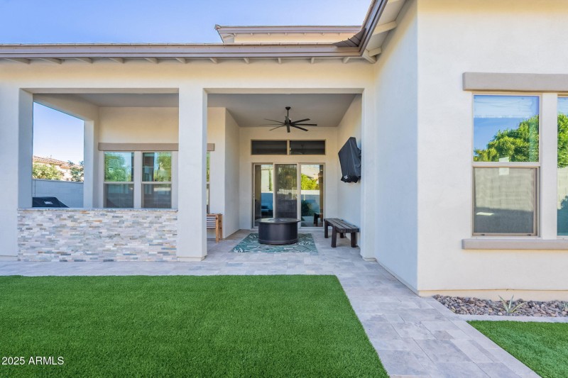 Back Yard