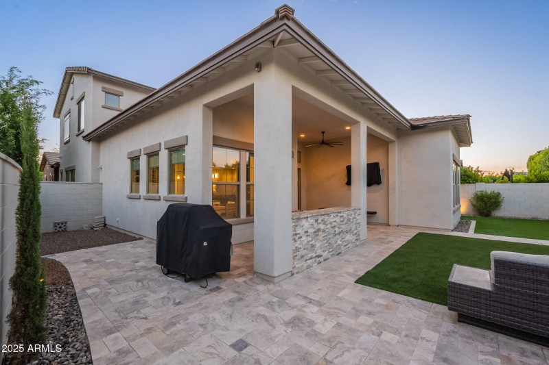 Back Yard