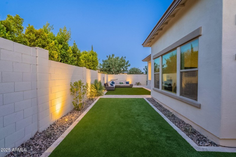 Back Yard