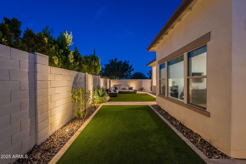 Back Yard