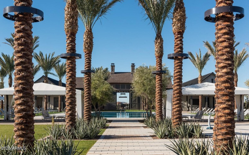 Pool and palm trees