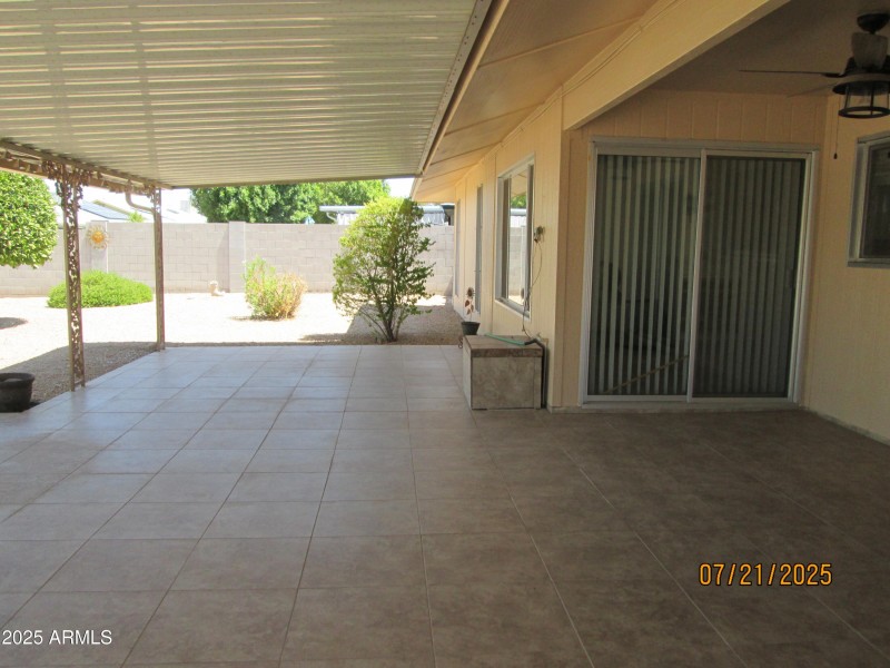 back yard 3